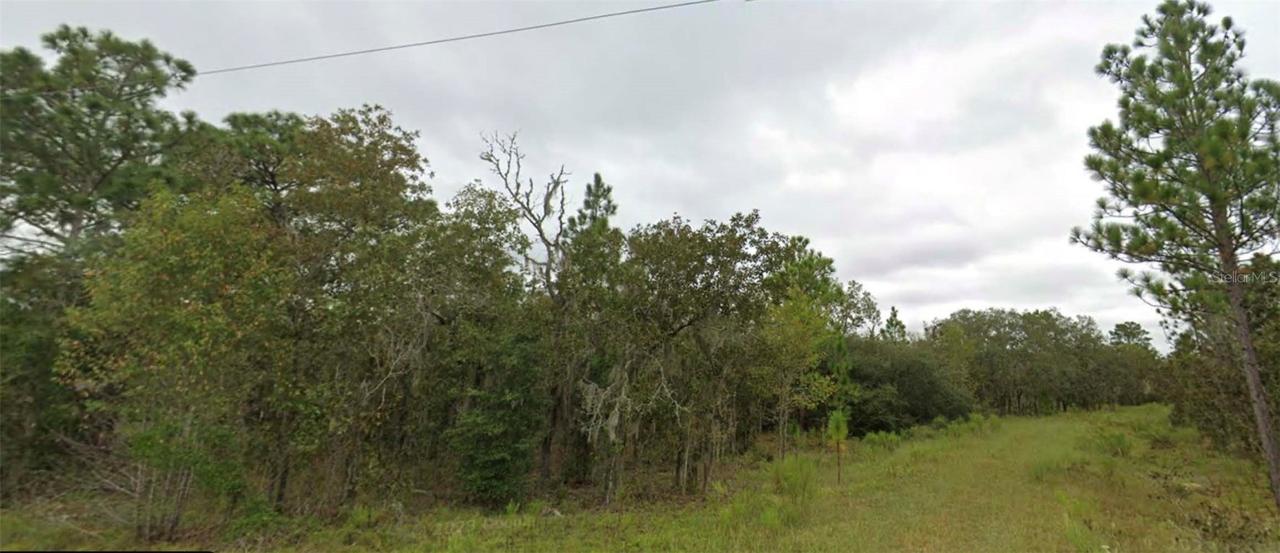 NE 151 Ter., Williston, FL 32696