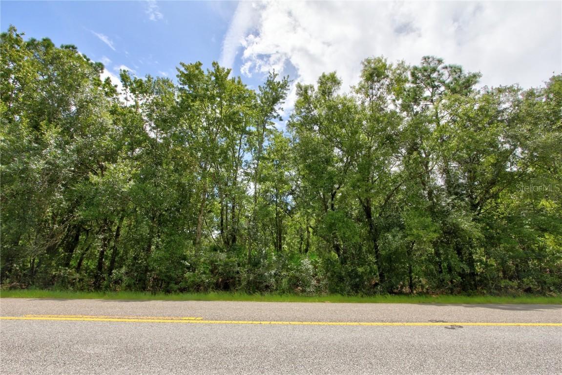 Starry St. #Lot 5, Orlando, FL 32833