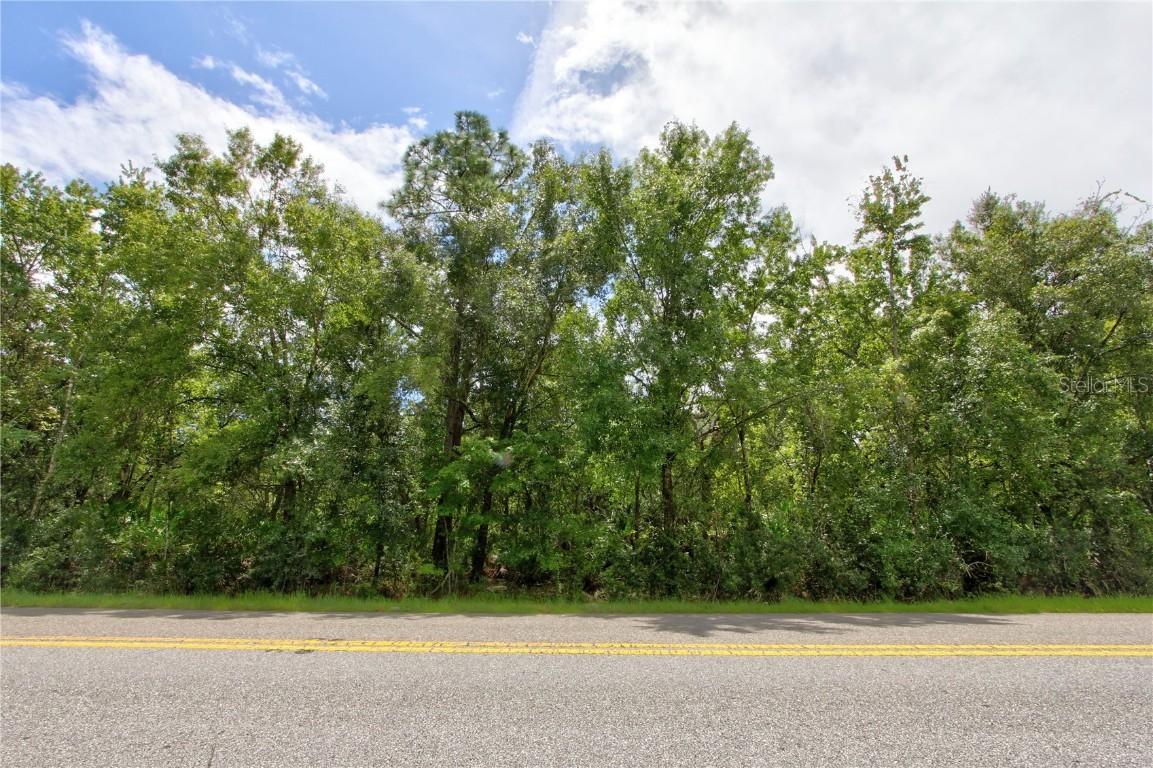 Starry St. #Lot 4, Orlando, FL 32833