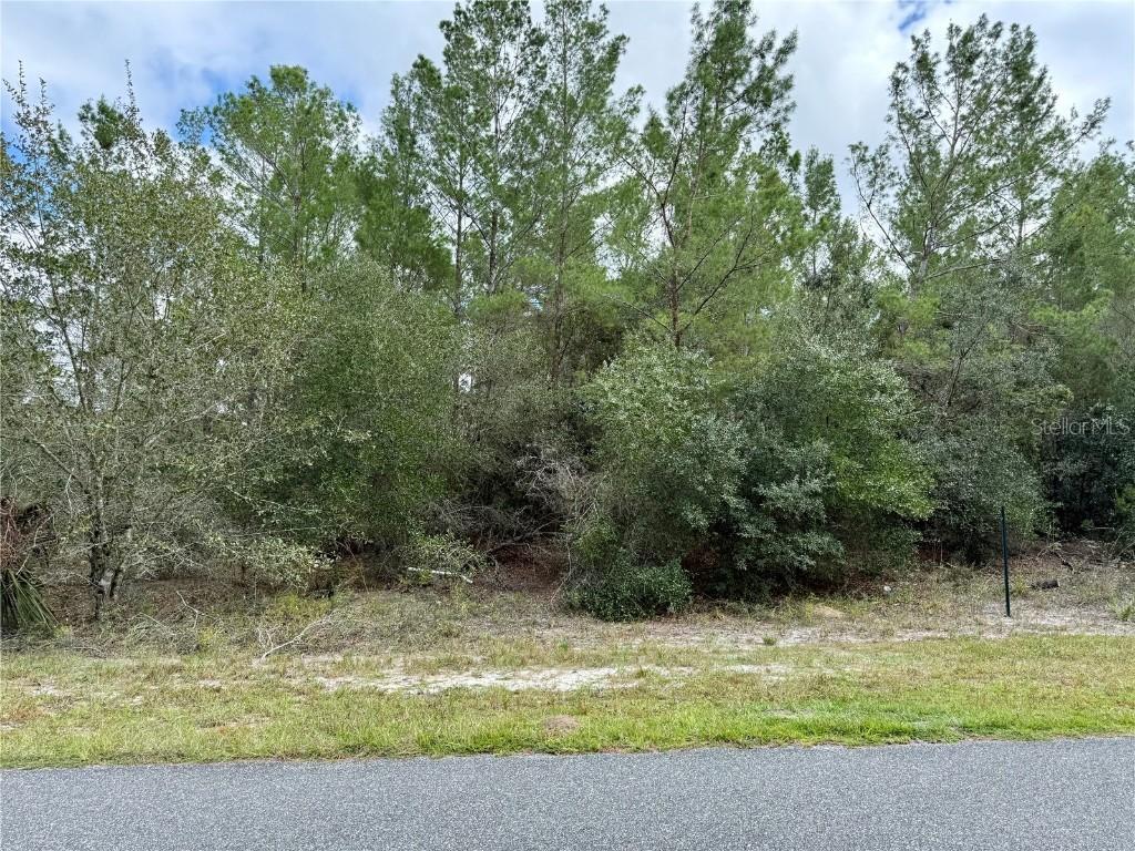 Jericho Tr., Eustis, FL 32736