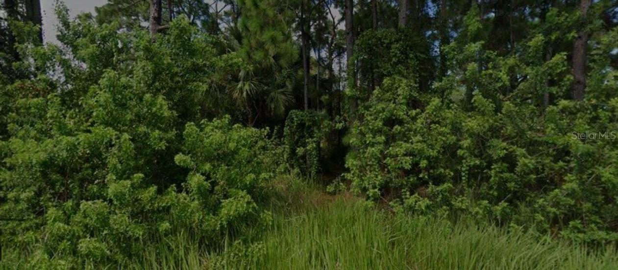 447 Trumpet St., Palm Bay, FL 32908