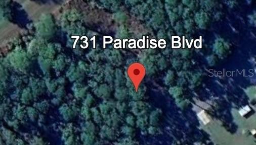 731 Paradise Blvd., Georgetown, FL 32139