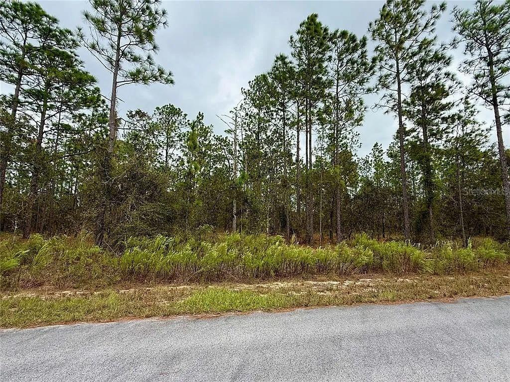 Dunellon, Dunnellon, FL 34431