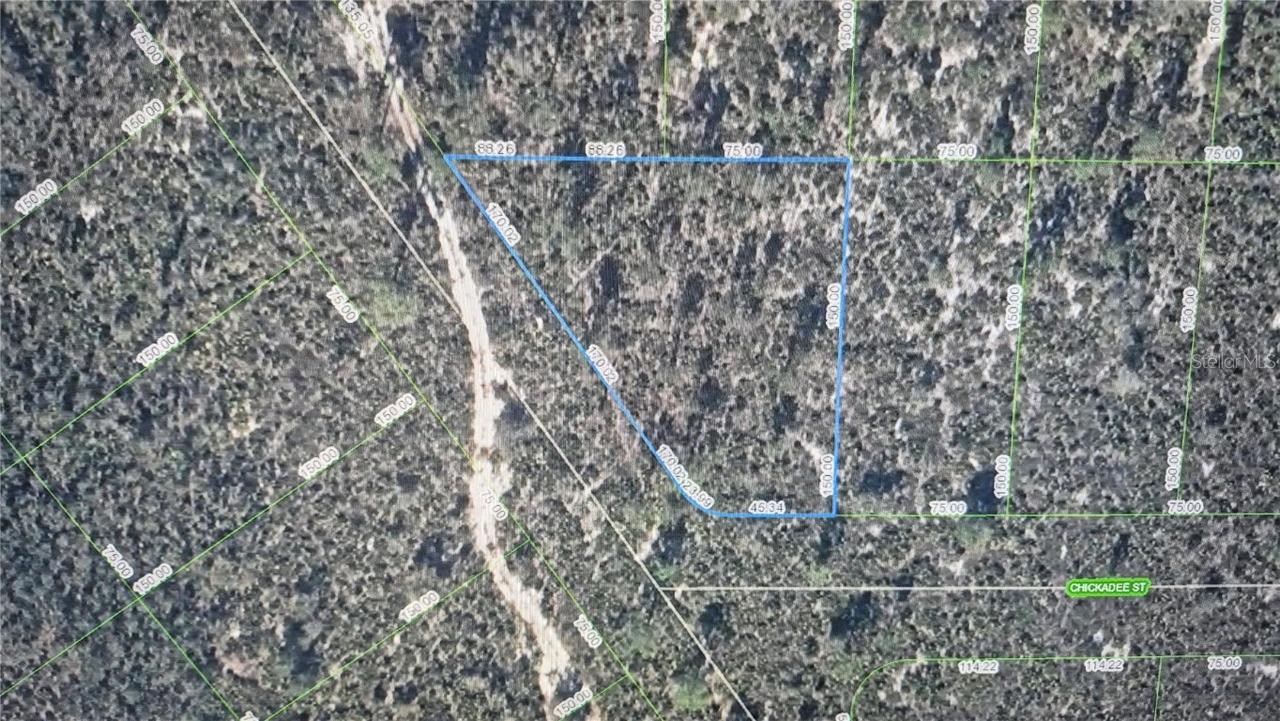 1400 Chickadee St., Lake Placid, FL 33852