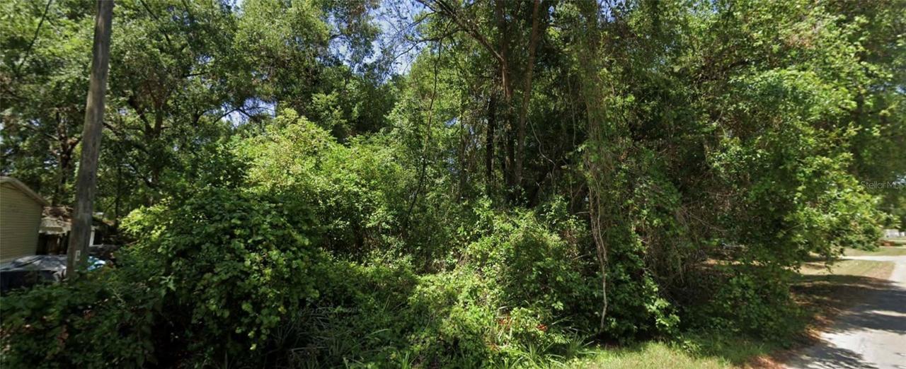 SE 144th Ln., Summerfield, FL 34491