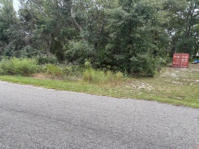 [Address Hidden by Seller], Ocklawaha, FL 32179