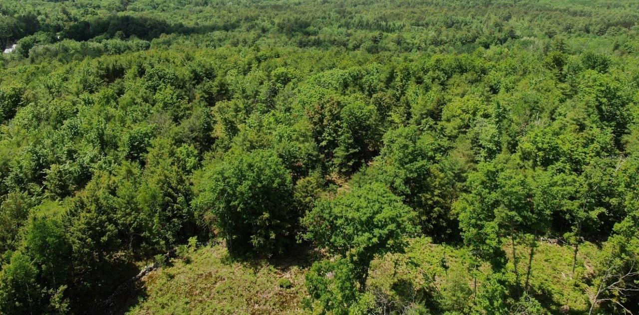 SW 712th Ave., Horseshoe Beach, FL 32648