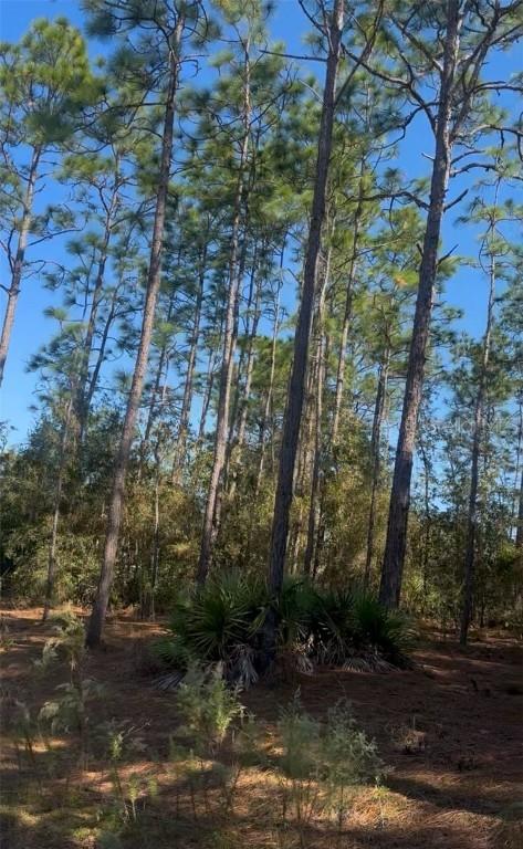 SW 128th Terrace Rd., Ocala, FL 34481