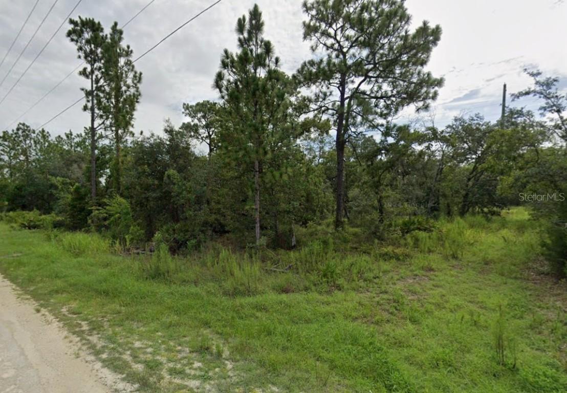 Goldfinch Rd., Weeki Wachee, FL 34614
