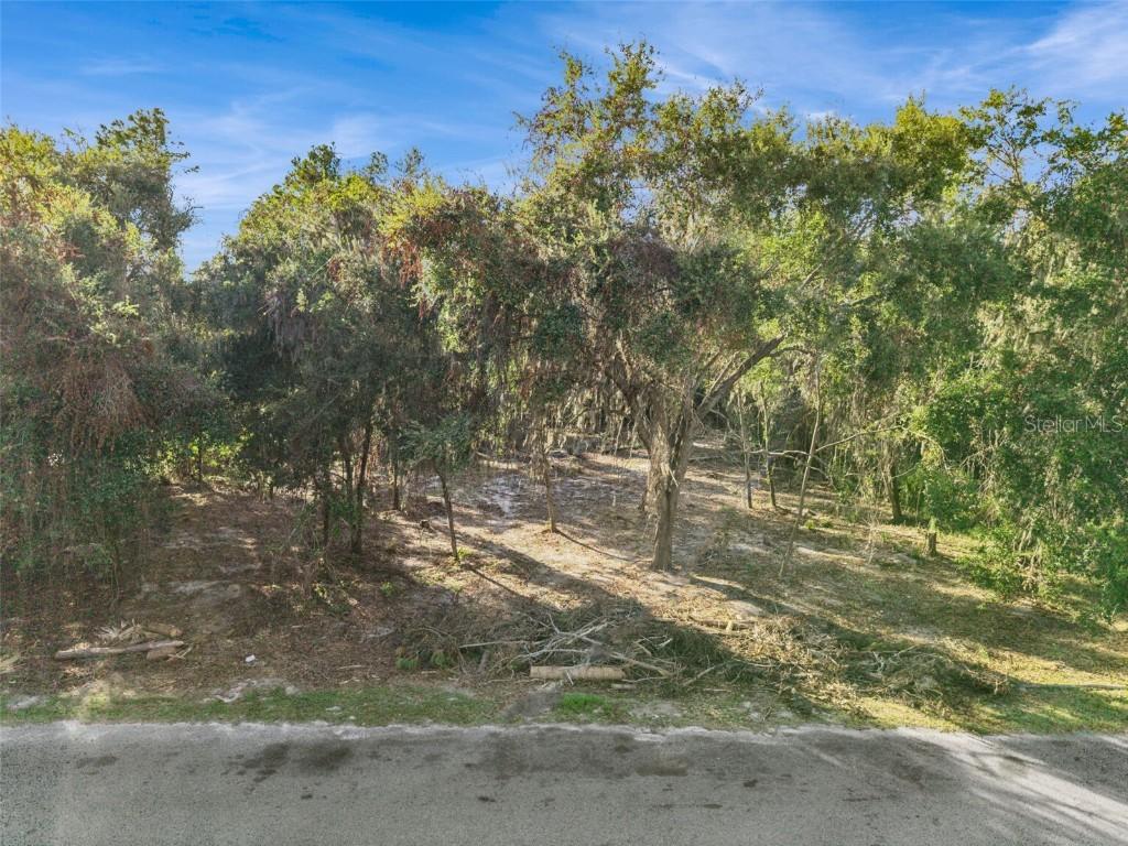 705 Newell Hill Rd., Leesburg, FL 34748