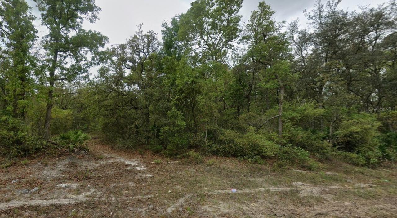 Highline Tr., Satsuma, FL 32189