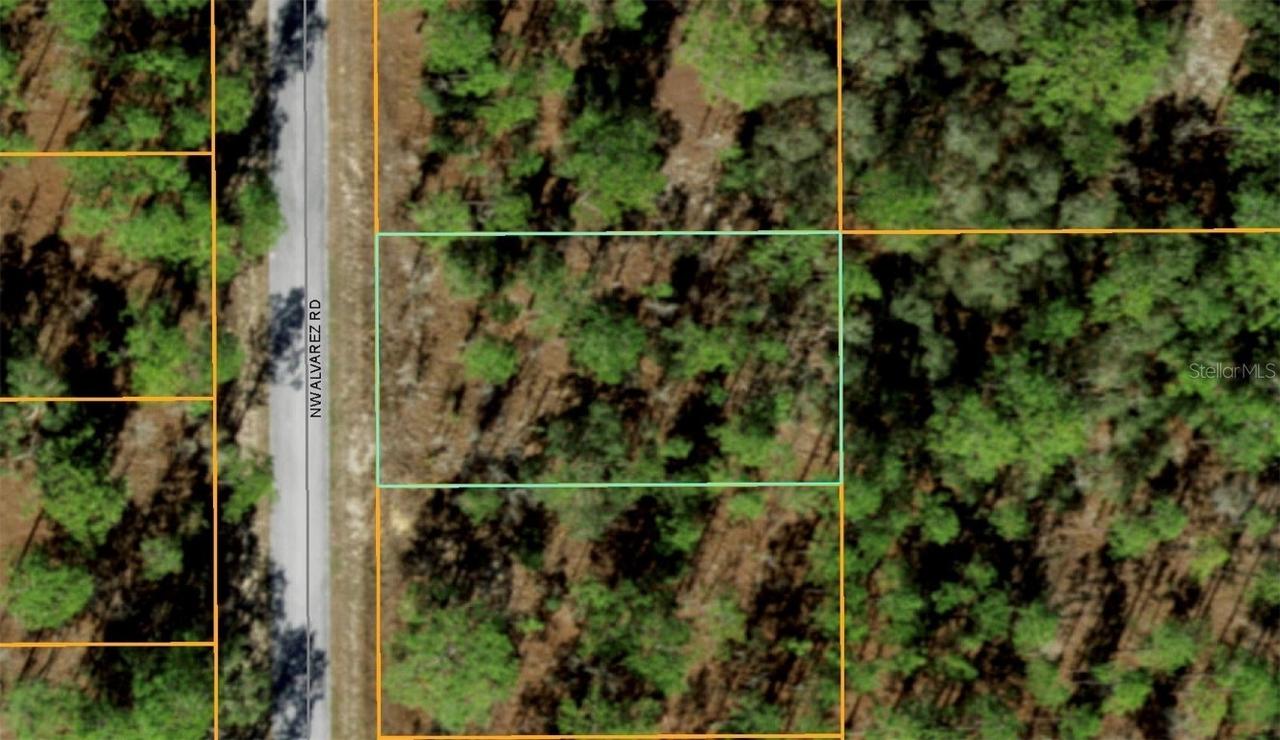 Alvarez Road, Dunnellon, FL 34431