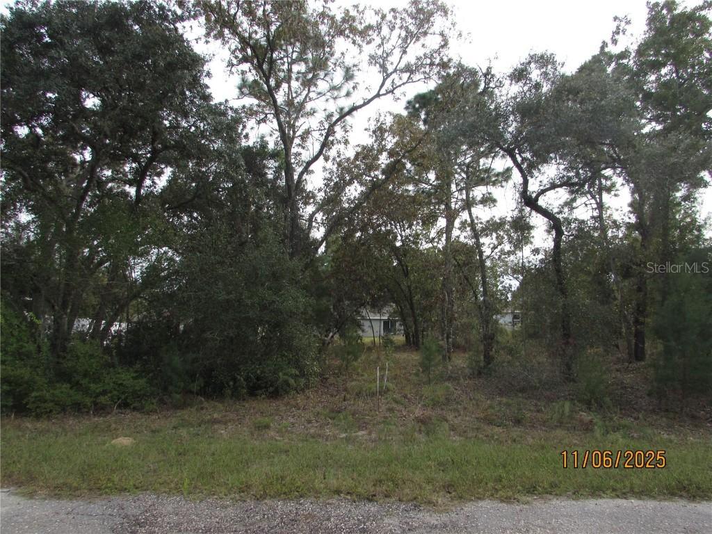 3108 W Randolph Ln., Citrus Springs, FL 34433