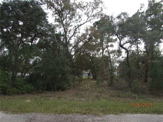 New Homes For Sale This Week in Citrus Springs: November 7th to November 13th