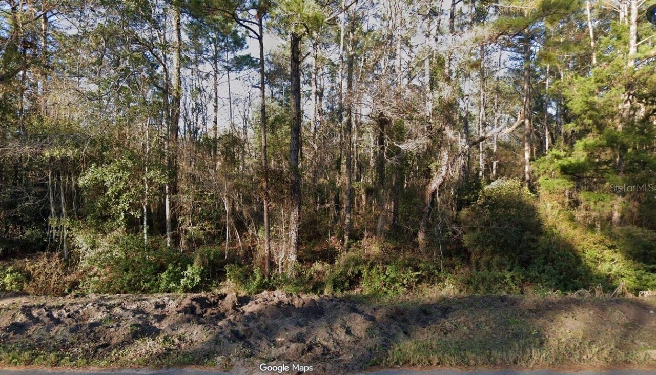 4220 Helena St., Hastings, FL 32145