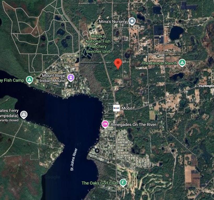 175 Oak Run Rd., Crescent City, FL 32112