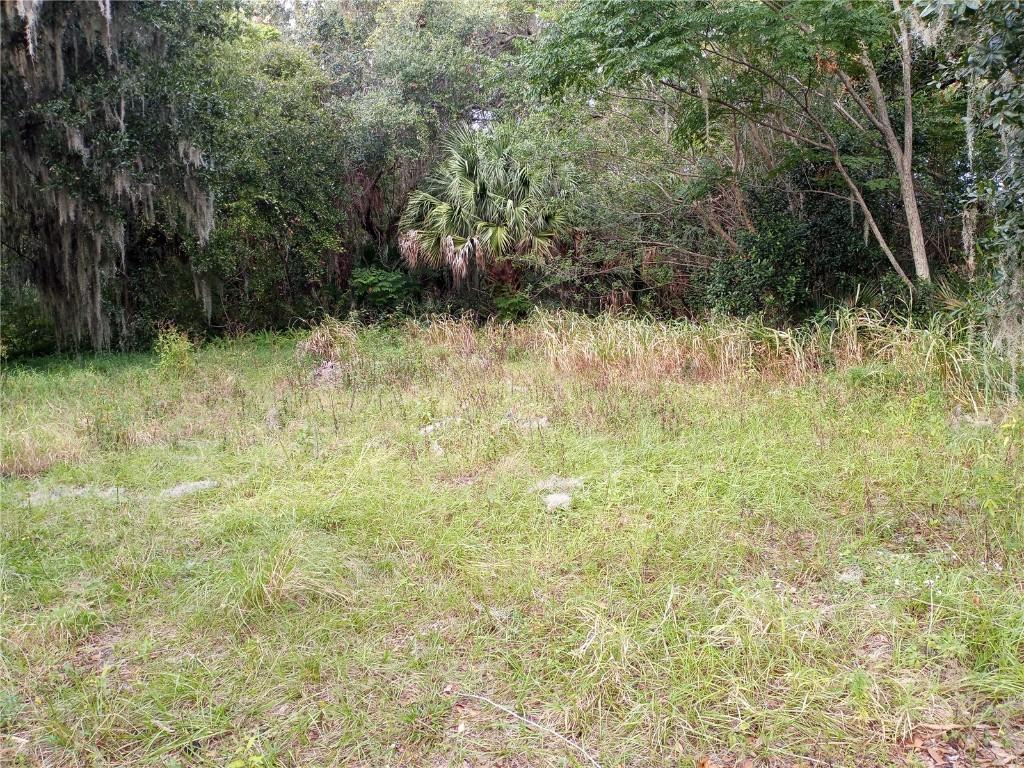 Carver St., Mims, FL 32754