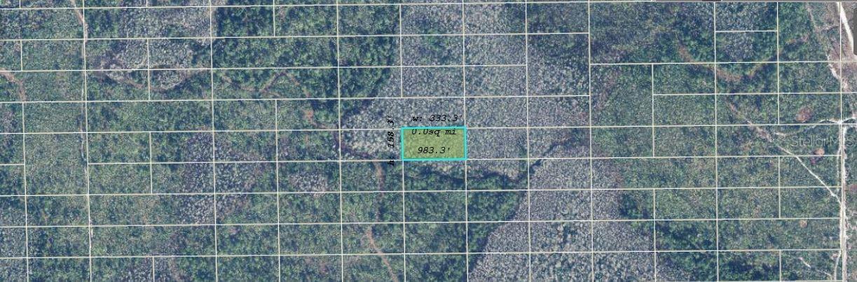 Dill Rd., Orlando, FL 32820