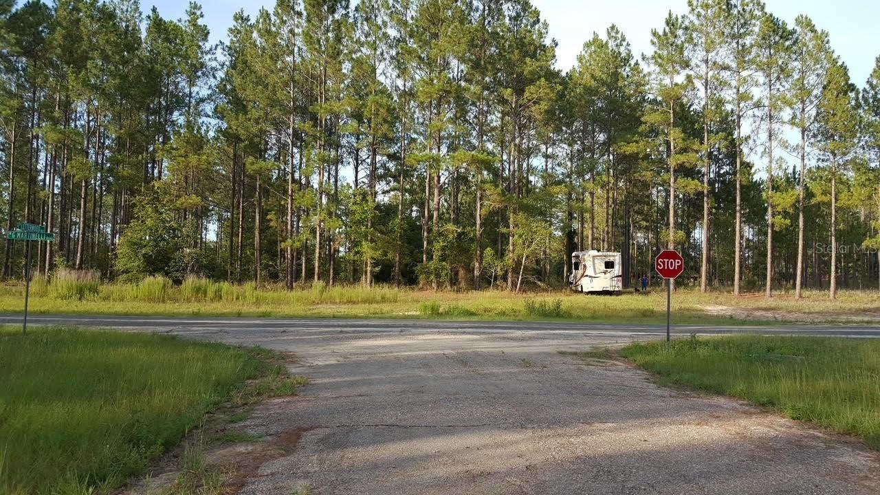 1611 W G Martinelli Blvd., Citrus Springs, FL 34434