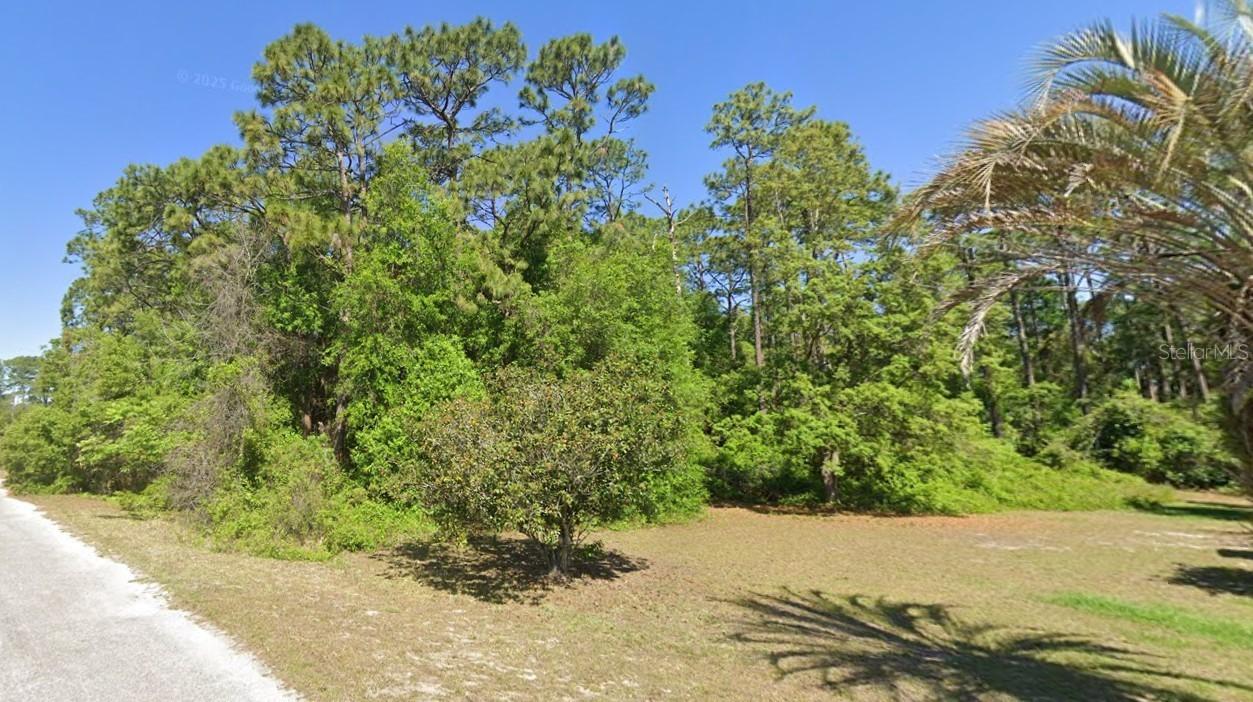 [Address Hidden by Seller], Silver Springs, FL 34488