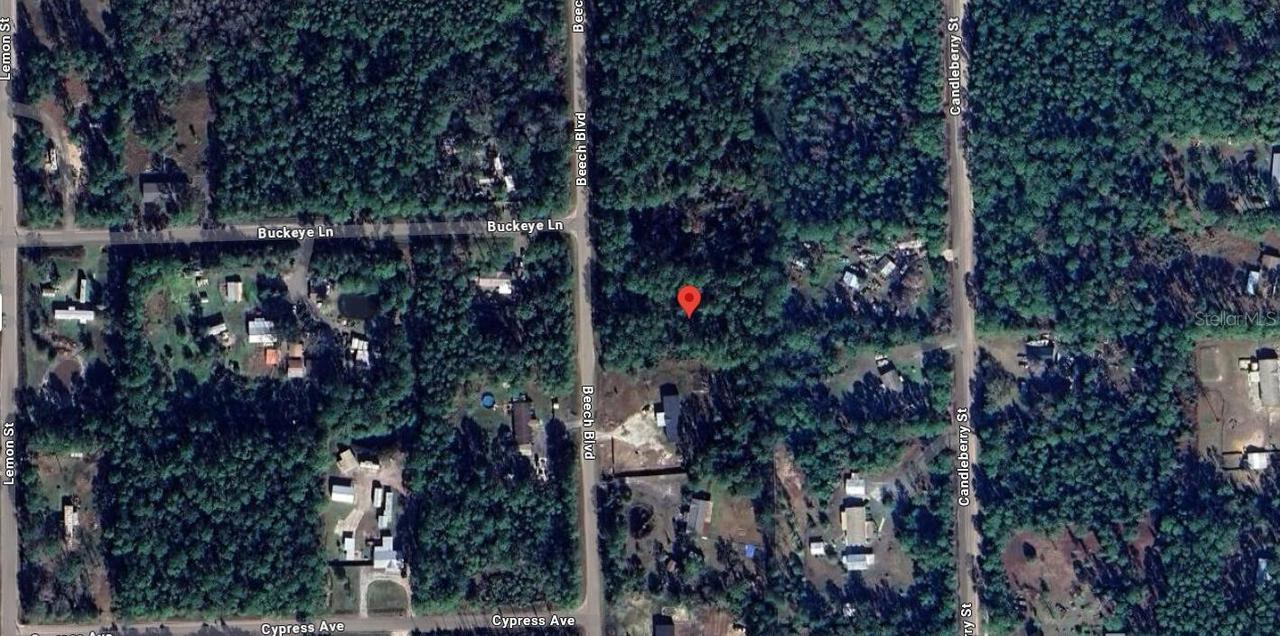 1759 Beech Blvd., Bunnell, FL 32110