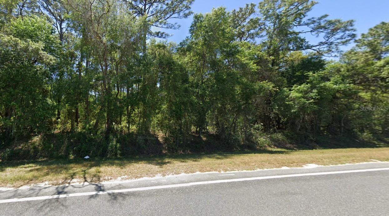 SE 17th Ln., Ocklawaha, FL 32179