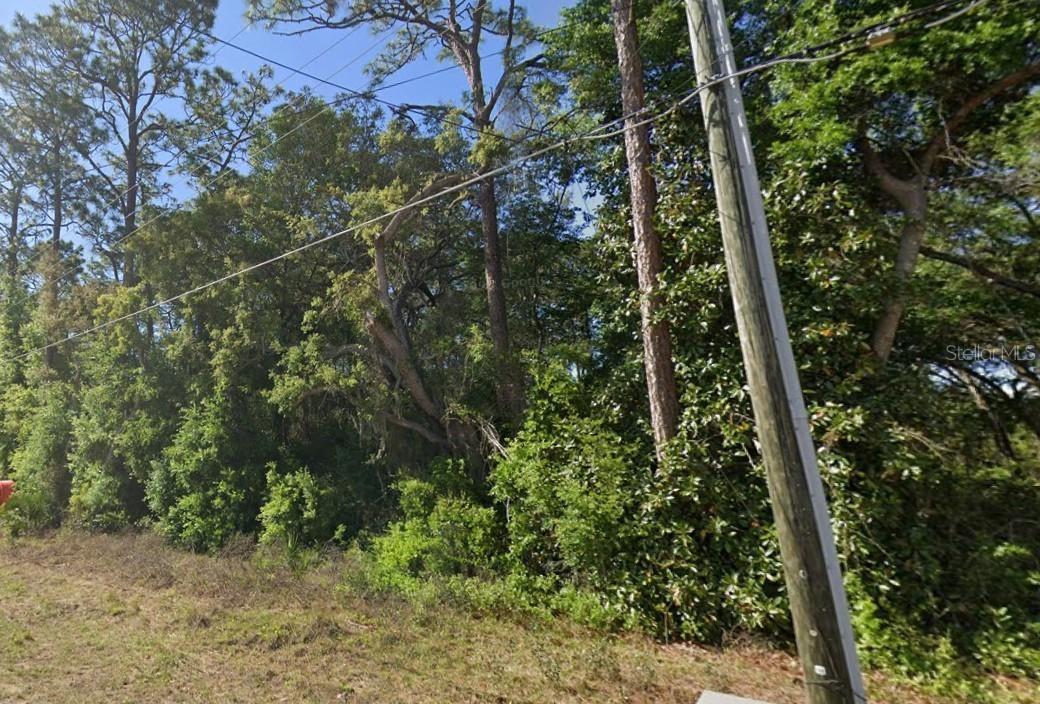 SE 17th Ln., Ocklawaha, FL 32179