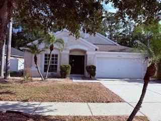 25422 Lexington Oaks Blvd., Wesley Chapel, FL 33544