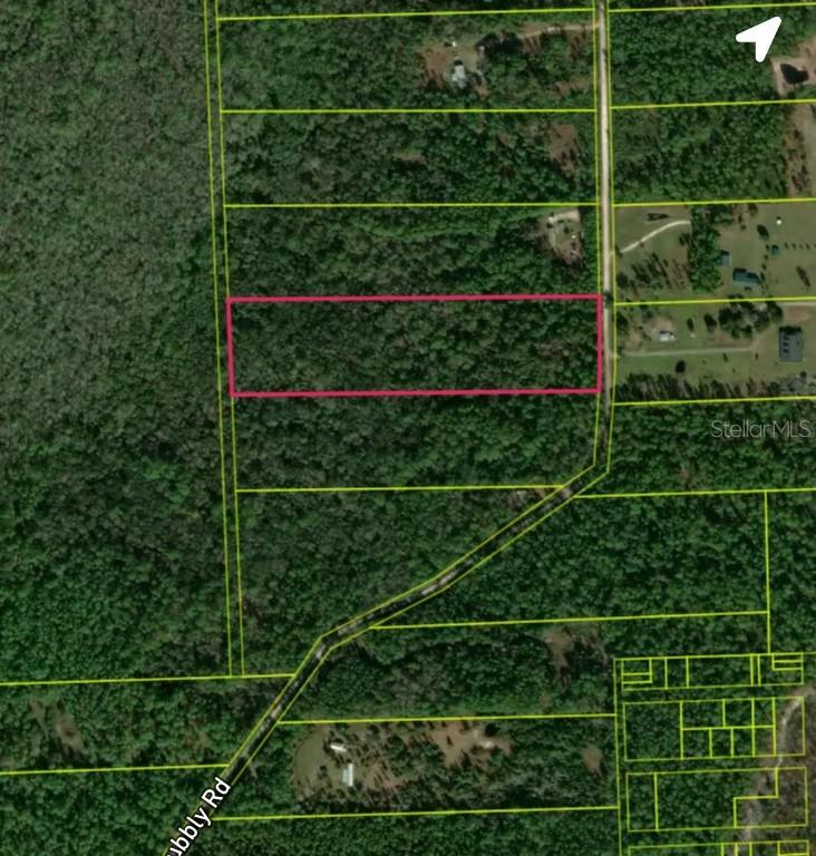 820 Old Bubbly Rd., Pierson, FL 32180