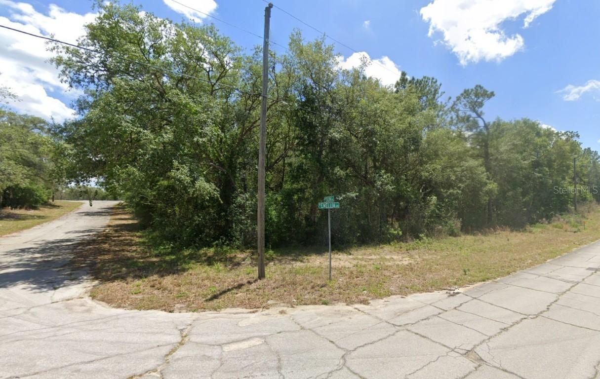 2988 W Sun Pl., Dunnellon, FL 34433