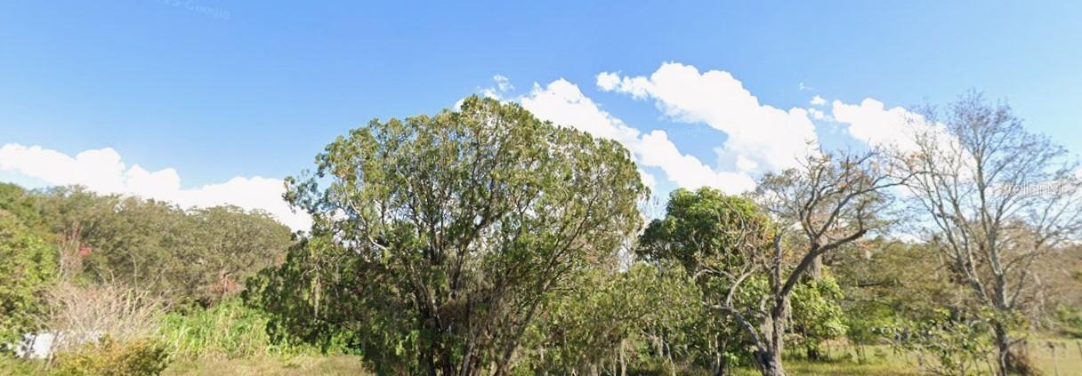 1342 Avalon Rd., Winter Garden, FL 34787