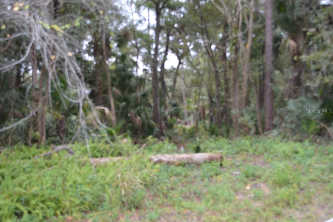 Hester Avenue Ave., Sanford, FL 32773