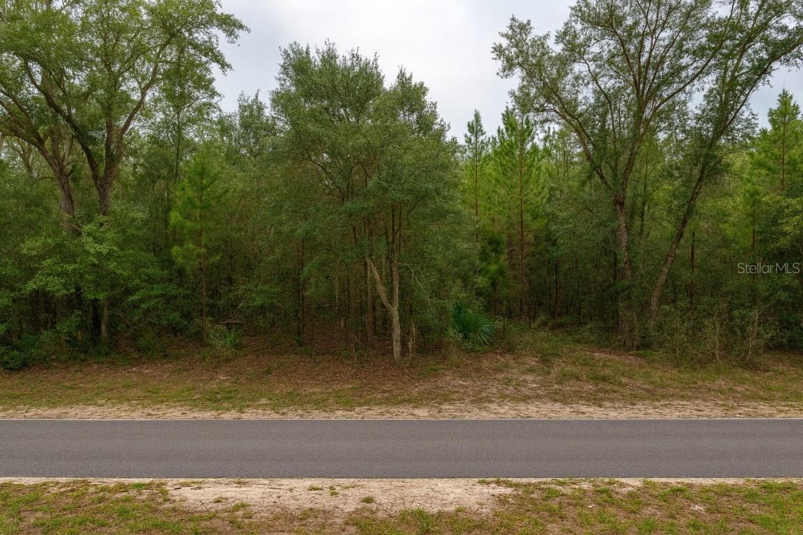 3511 E Jaclyn Ln., Inverness, FL 34453