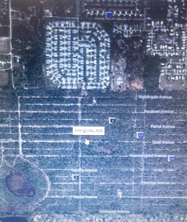 556 Quail Ave., Sebring, FL 33870