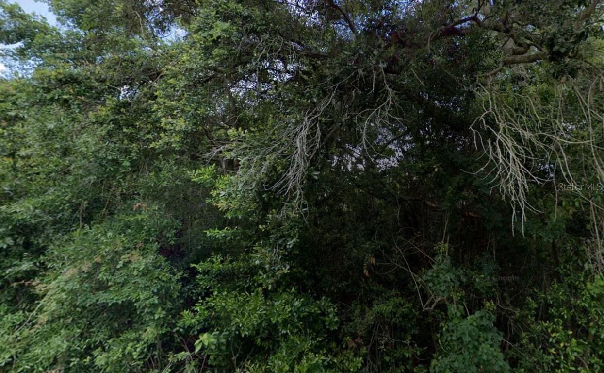 3288/3302 E Alisa Ln., Inverness, FL 34453