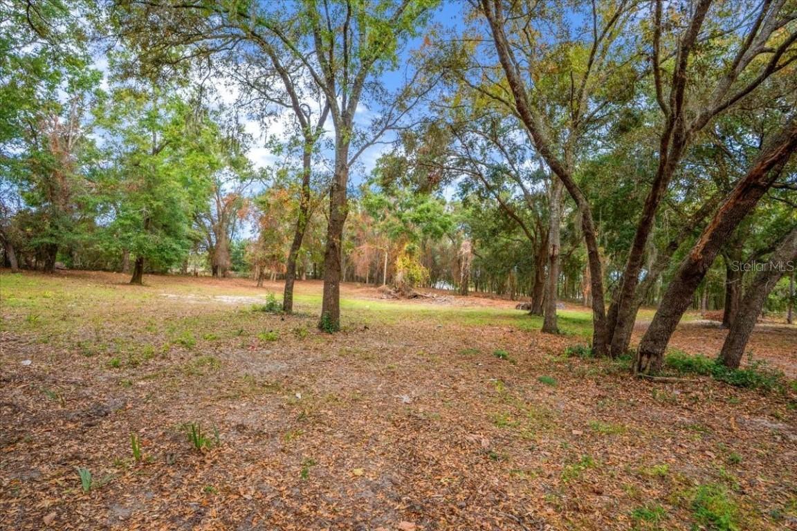 TBD SE Se Hwy 42 Summerfield Fl 34491, Summerfield, FL 34491