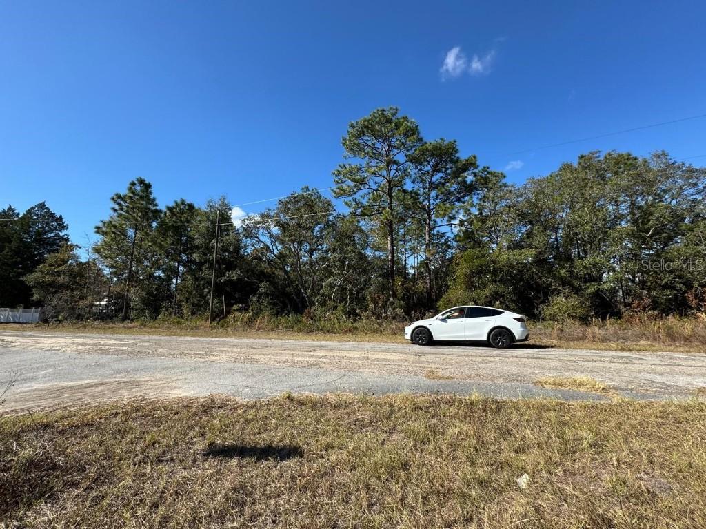 9066 N Burmany Way #6, Citrus Springs, FL 34433