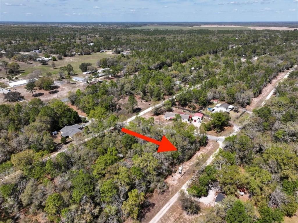 NE 154 Ter., Williston, FL 32696