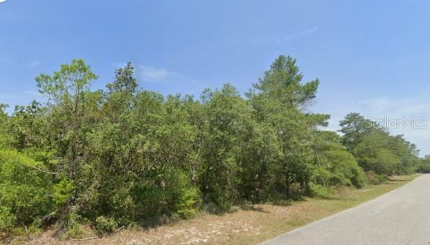 LOT 11 Persimmon St., Eustis, FL 32736