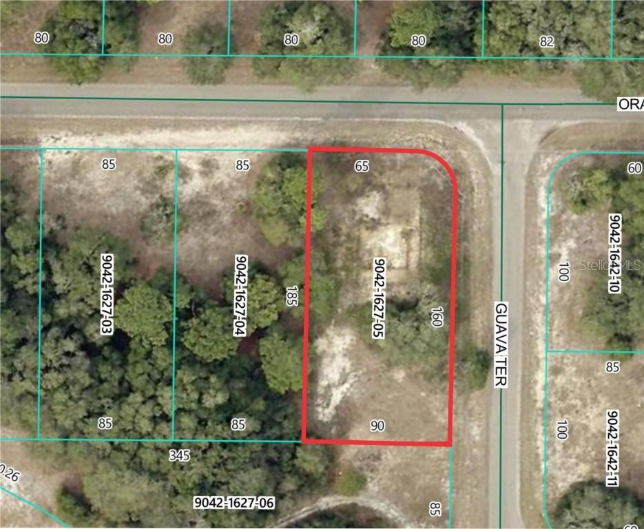11745 Orange Rd., Ocklawaha, FL 32179