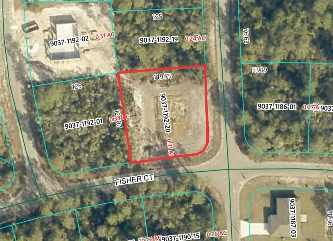 189 Fisher Ct., Ocklawaha, FL 32179