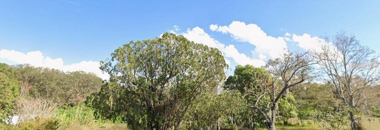 1362 Avalon Rd., Winter Garden, FL 34787