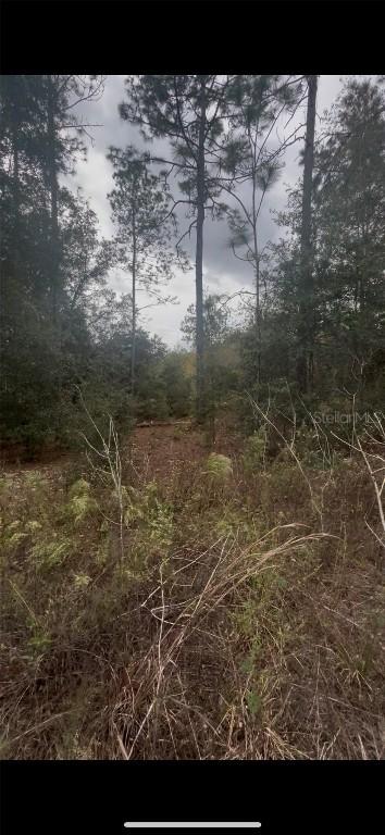 SW 21 Pl., Ocala, FL 34481