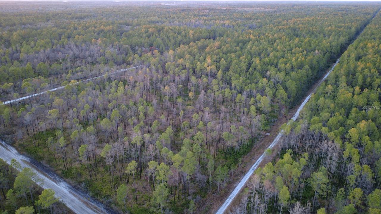 [Address Hidden by Seller], Hastings, FL 32145