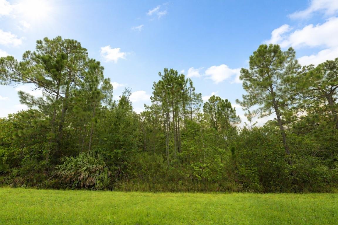 18715 Sodbury St., Orlando, FL 32833