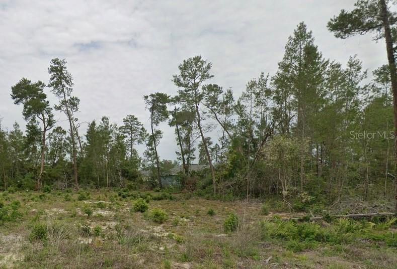 TBD Sw 30th Ave Rd, Ocala, FL 34473