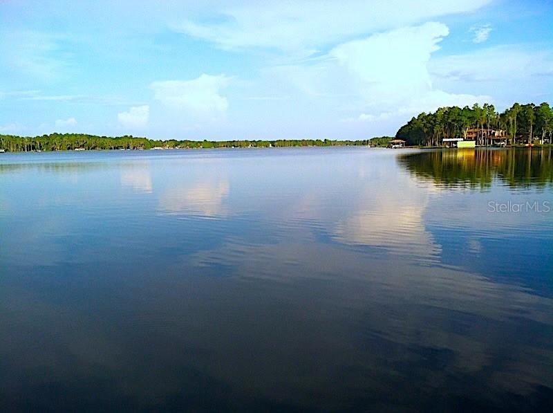 18620 Wayne Rd., Odessa, FL 33556