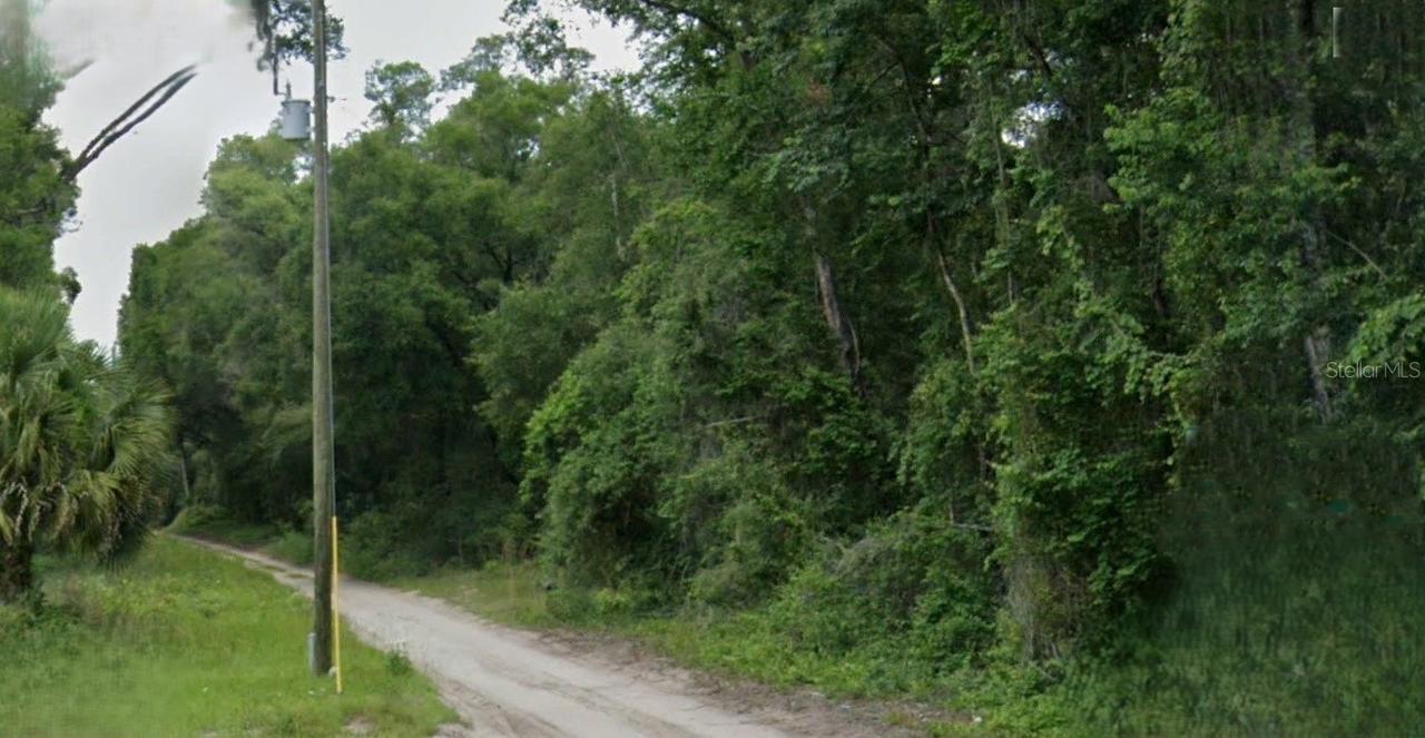 NE 162nd Pl., Citra, FL 32113