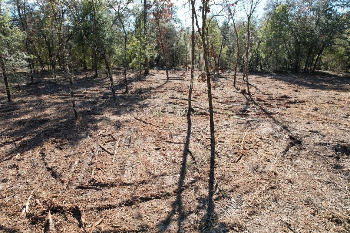 NE 116th St., Archer, FL 32618