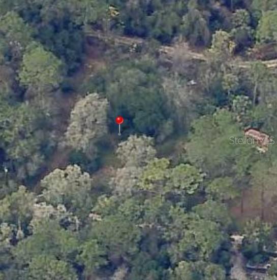 18901 SE 93rd St., Ocklawaha, FL 32179